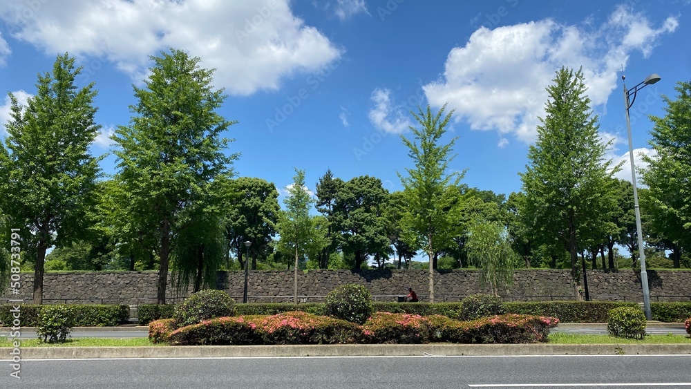 Blue sky and the imperial palace stone walls with trees, sunny daytime year 2022 June 4th morning
