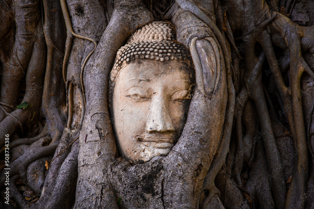 Wat Phra Mahathat temple with head statue trapped in bodhi tree in Phra Nakhon Si Ayutthaya, Thailand