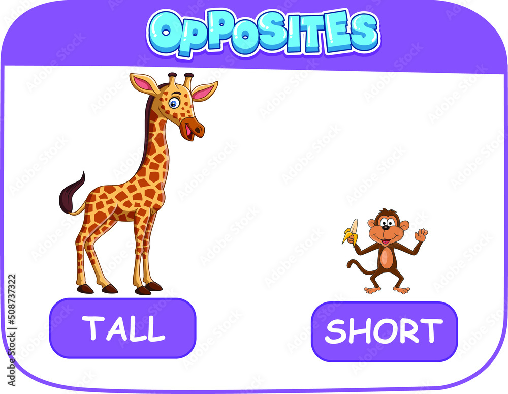 LEARNING OPPOSITES TALL AND SHORT Stock Vector Adobe Stock learning-opposites-tall-and-short-stock-vector-adobe-stock