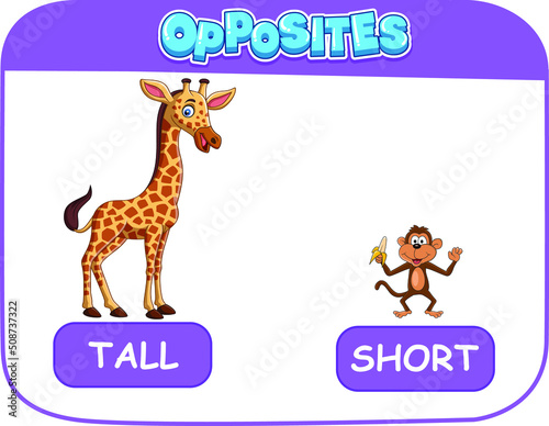 LEARNING OPPOSITES TALL AND SHORT
