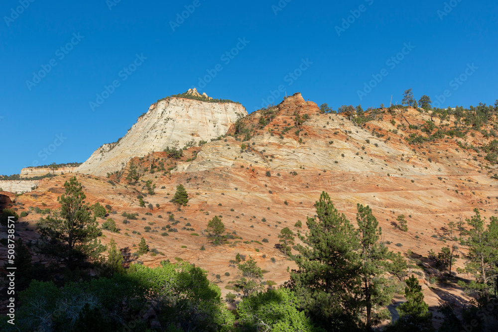 mountain landscape in the zion national park, Utah, USA