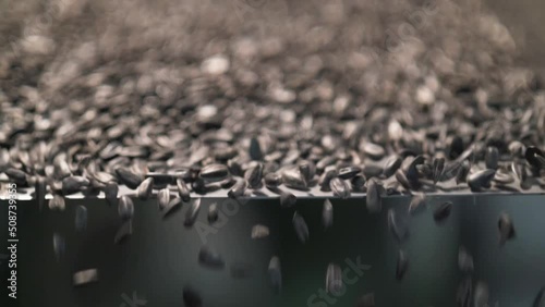 This stock video shows sunflower seeds - the raw material for the production of vegetable oil. Sunflower seeds are sorted and cleaned on the factory conveyor. This video will decorate your projects re