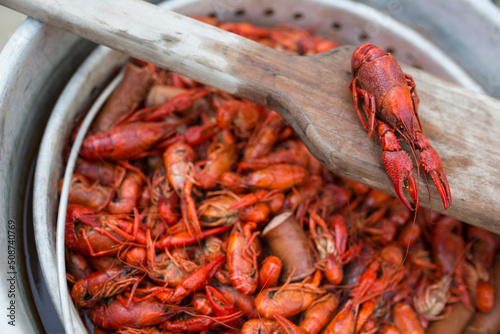 Boiled Crawfish