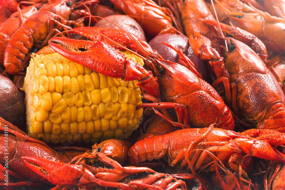 Louisiana Spicy Boiled Cajun Crawfish Louisiana Spicy Boiled Cajun Crawfish
