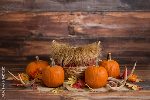 Newborn Digital Background Autumn Pumpkin
