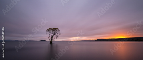 Foto Lone tree at dawn, Lake Taupo, New Zealand