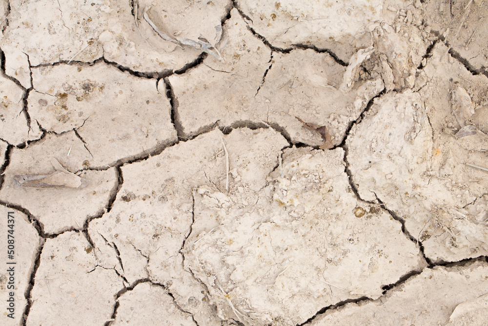 Fototapeta premium Cracking Dry Dirt in a Drought