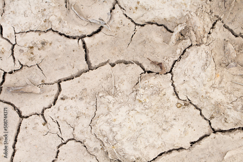 Cracking Dry Dirt in a Drought