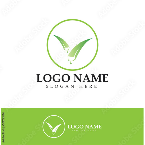 aloe vera logo design icon vector