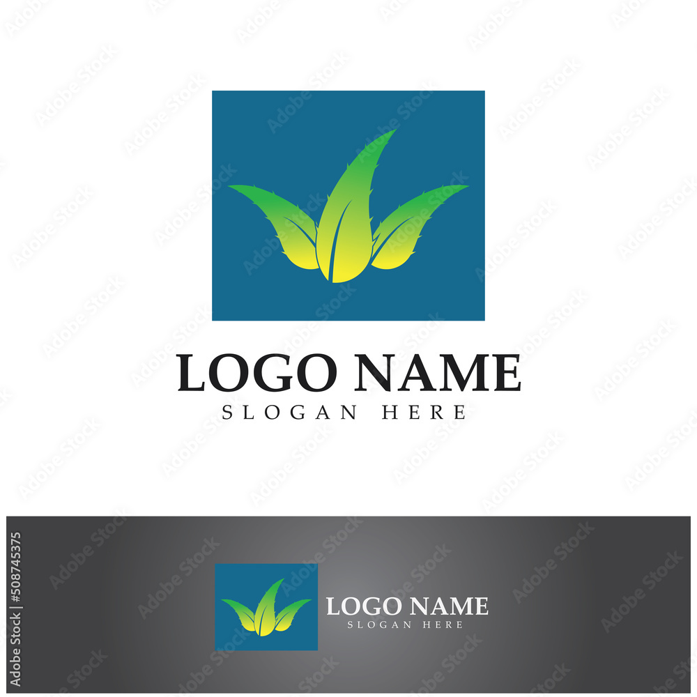 aloe vera logo design icon vector aloe vera logo design icon vector