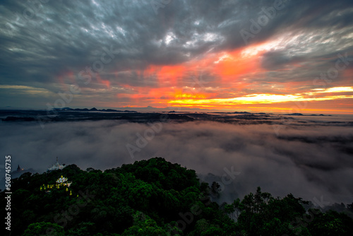 high mountain nature background that can see the scenery around, the fog covers the trees in a blur, the cool air, the beauty of the ecosystem
