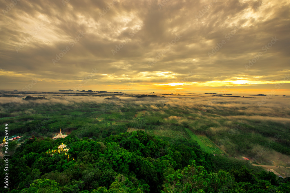high mountain nature background that can see the scenery around, the fog covers the trees in a blur, the cool air, the beauty of the ecosystem high mountain nature background that can see the scenery around, the fog covers the trees in a blur, the cool air, the beauty of the ecosystem