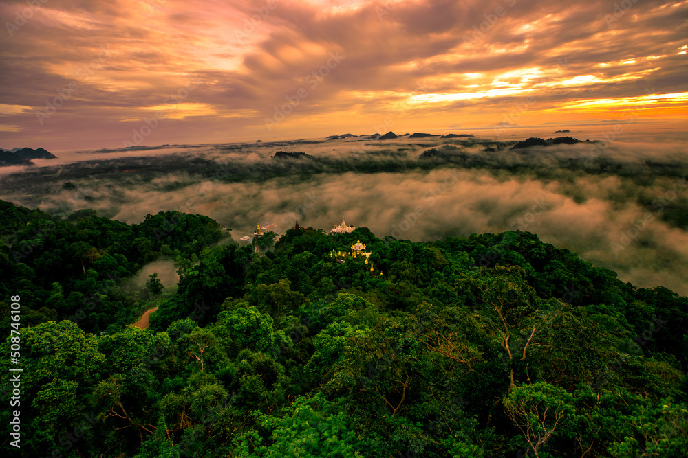 high mountain nature background that can see the scenery around, the fog covers the trees in a blur, the cool air, the beauty of the ecosystem high mountain nature background that can see the scenery around, the fog covers the trees in a blur, the cool air, the beauty of the ecosystem