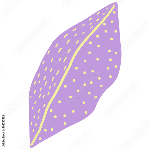 Hand drawn abstract organic leaf. Doodle botanical elements illustration.