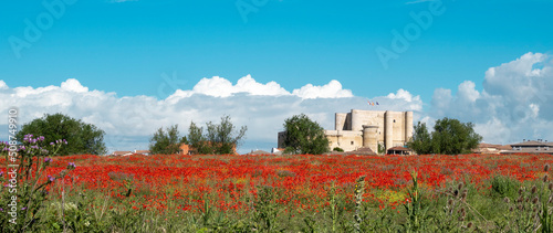 Vista alejada del castillo medieval de Fuentes de Valdepero sobre un mar de amapolas rojas en la provincia de Palencia, España photo