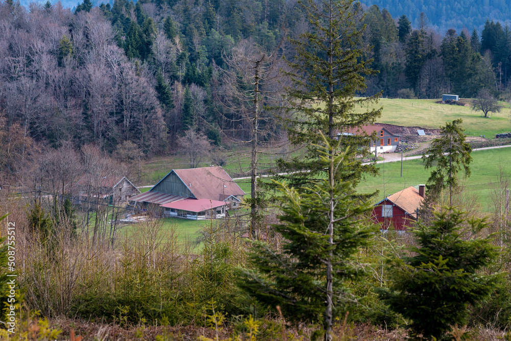 Fermes et chalets dans les montagnes des Vosges vues depuis les hauteurs