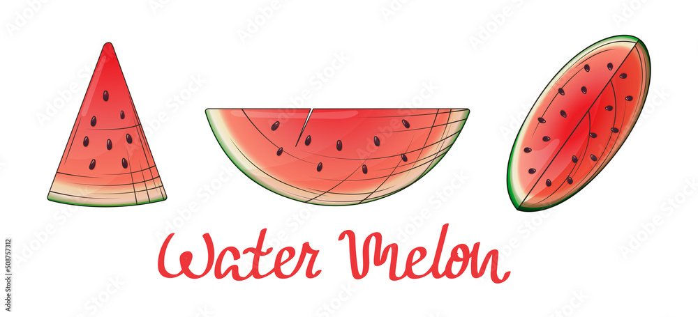 Hand-drawn vector set from illustration of watermelons. Bright illustration for design of menu, card, cafe, decoration of fabric, cover. Hand-drawn vector set from illustration of watermelons. Bright illustration for design of menu, card, cafe, decoration of fabric, cover.