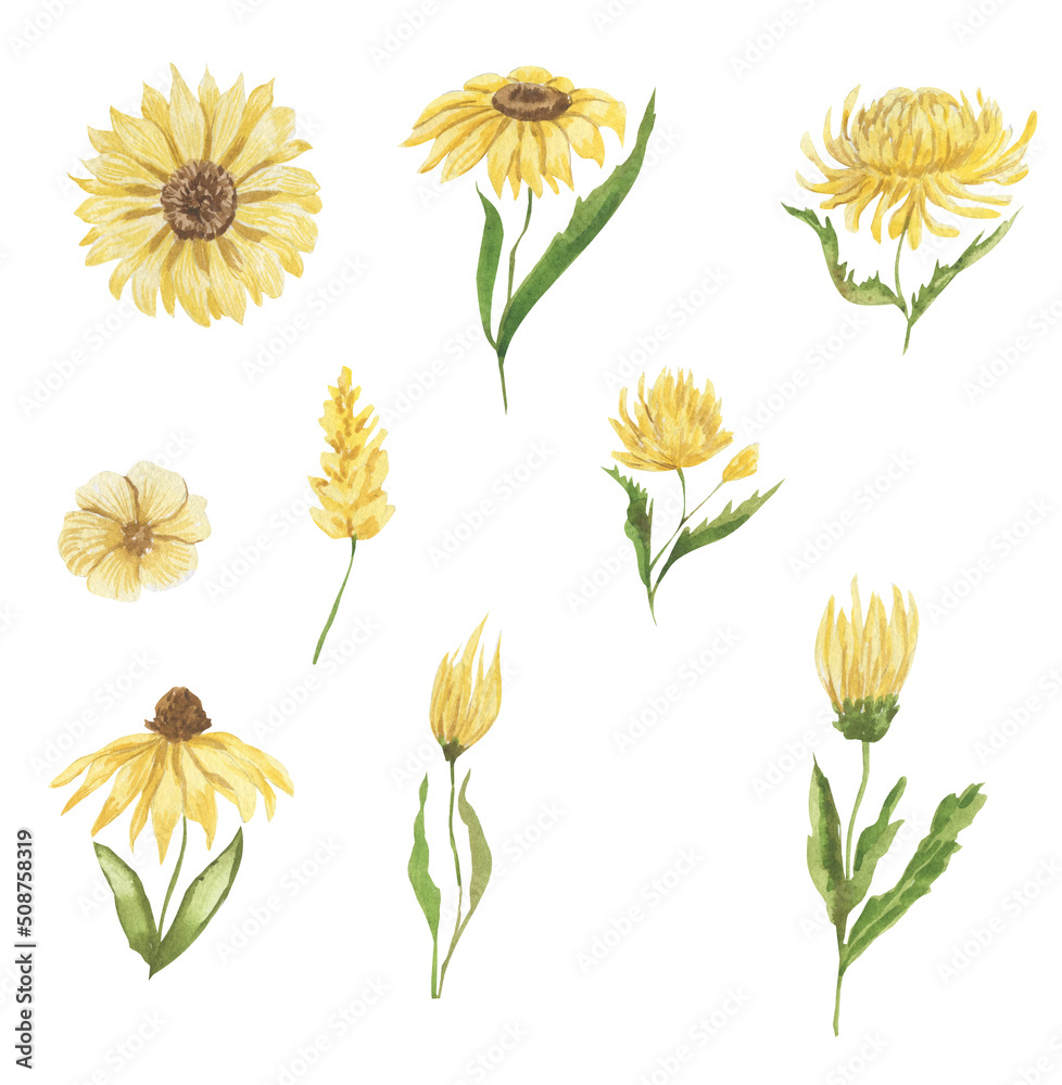Watercolor illustration of yellow flowers