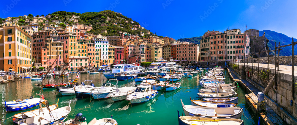 Camogli - beautiful colorful town in Liguria, panorama with traditional fishing boats .popular tourist destination in Italy