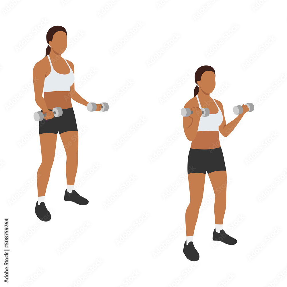 Woman doing Bicep curl exercise. Flat vector illustration isolated on white background Woman doing Bicep curl exercise. Flat vector illustration isolated on white background