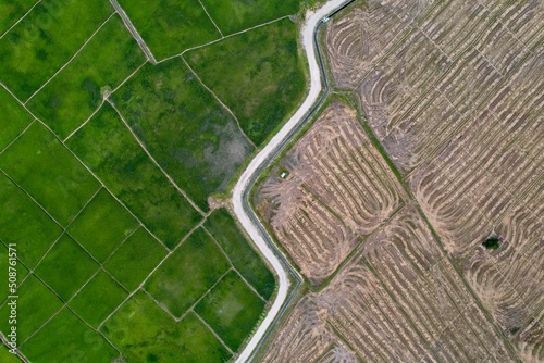 Interesting pattern aerial view of paddy field at Kg. Sangkir Kota Belud, Sabah.  photo
