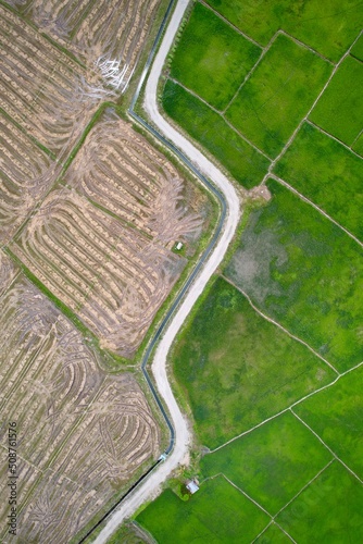 Interesting pattern aerial view of paddy field at Kg. Sangkir Kota Belud, Sabah.  photo