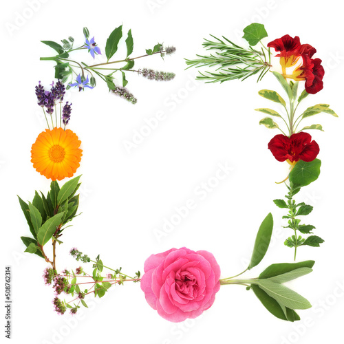 Abstract floral summer wreath with herbs and flowers. All flora used in herbal plant medicine, seasoning and food decoration. On white background square shape design. Flat lay, copy space.
