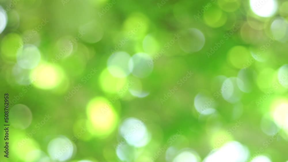 Bright light green bokeh background, sunshine through the treetop leaves Bright light green bokeh background, sunshine through the treetop leaves
