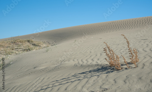 Sand dunes againt blue sky. Desert dry coast land Cyprus photo