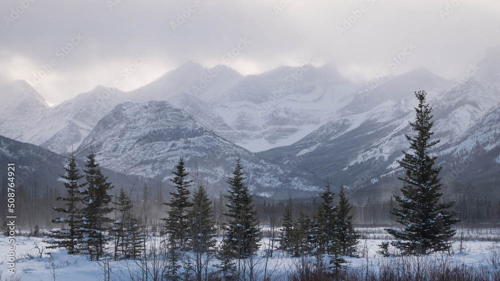 Trees lined up under the snowy mountains shrouded by clouds on a crisp winter day, Alberta, Canada