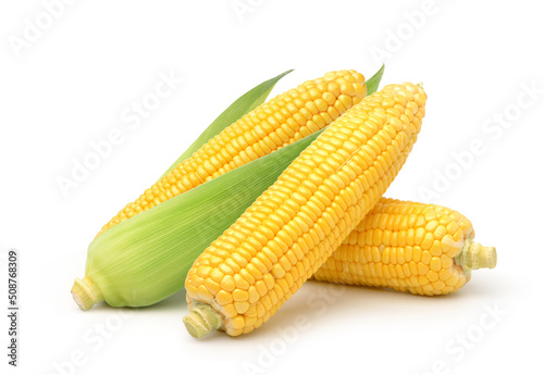 Fresh corn isolated on white background. clipping path