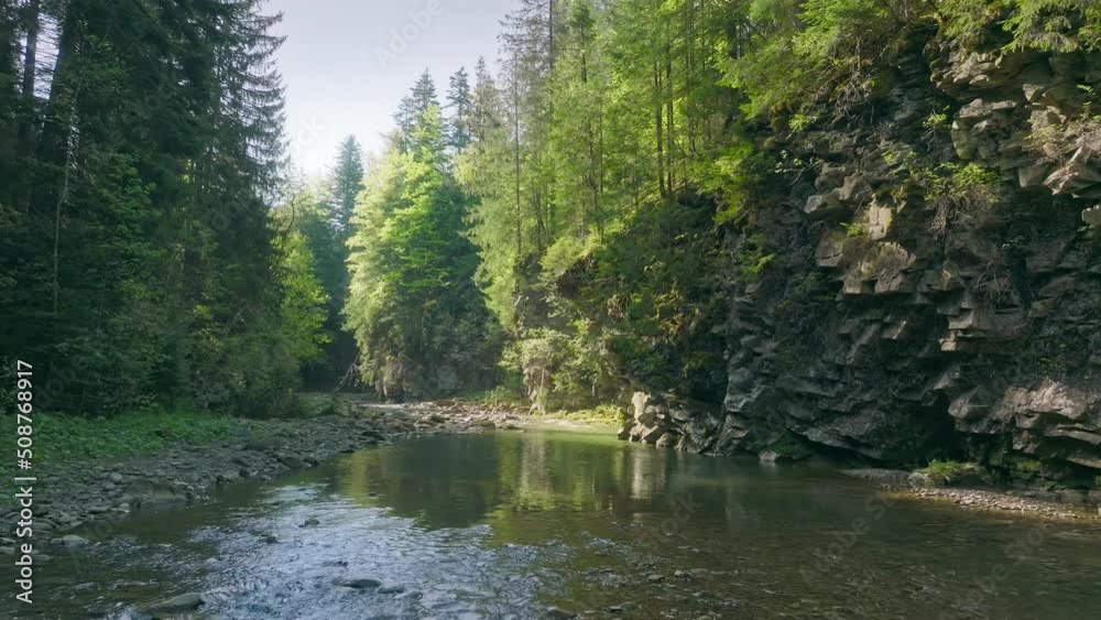 River forest mountains wood magical tree plant water pine rocks sun morning River forest mountains wood magical tree plant water pine rocks sun morning