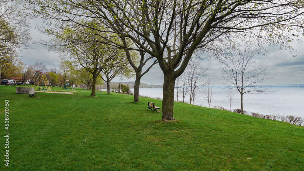 Obraz premium Benches among the trees by the lake.