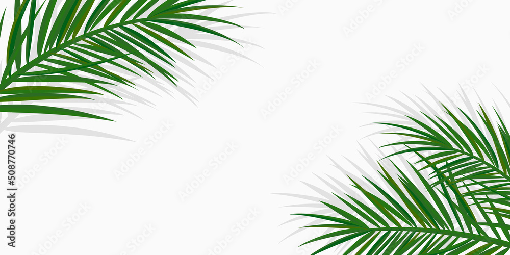 Summer tropical backgrounds with palms and transparent shadow. Summer  poster or flyer . Summertime
