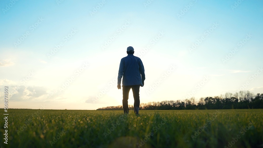 agriculture. man farmer a agronomist walk green field of wheat grass. agriculture farming business concept. male farmer silhouette at walk. sunset agriculture healthy food business farming concept