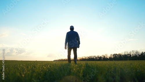 agriculture. man farmer a agronomist walk green field of wheat grass. agriculture farming business concept. male farmer silhouette at walk. sunset agriculture healthy food business farming concept