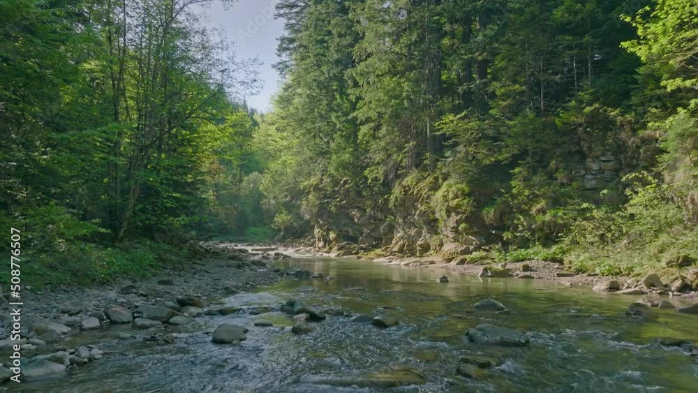 River forest mountain sunbeams morningh sunny rays water slow motion tree pine River forest mountain sunbeams morningh sunny rays water slow motion tree pine
