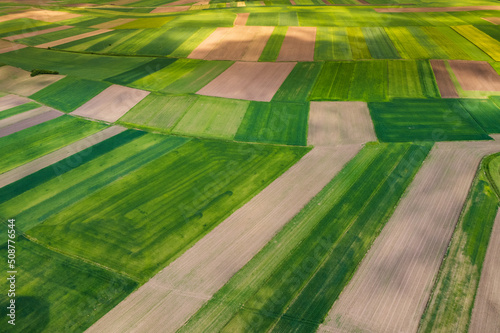 Colorful Farmlands and Agriculture Landscape in Poland at Spring. Aerial Drone View