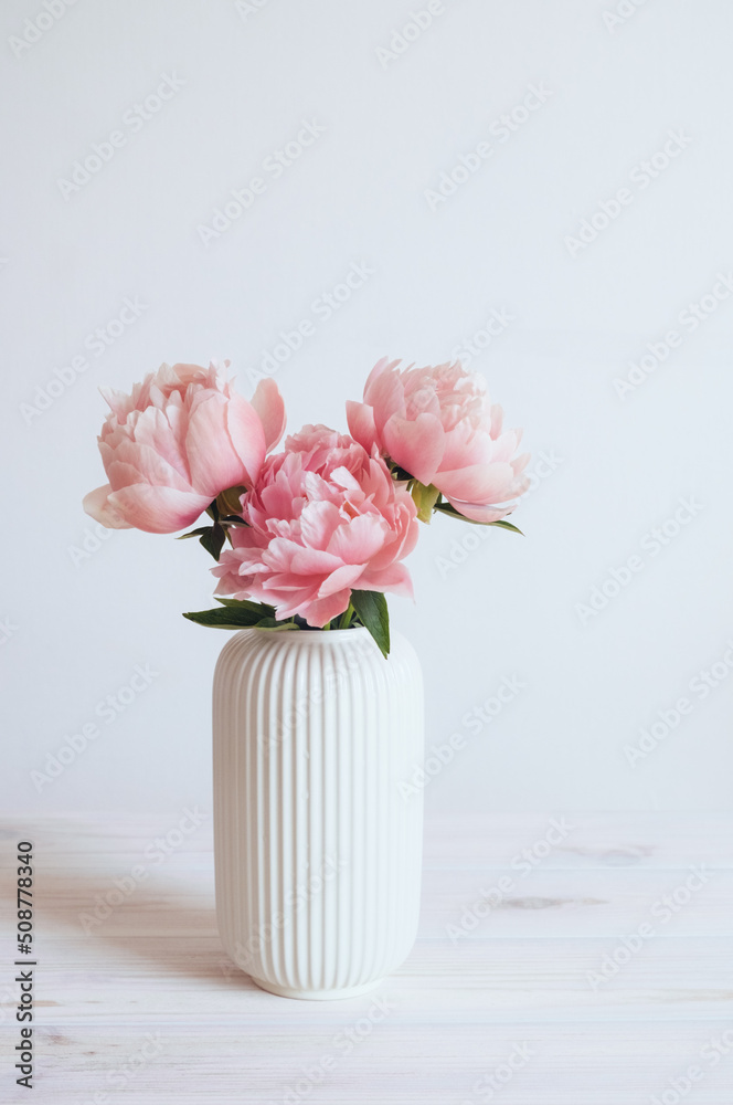 Beautiful bunch of fresh Coral Charm peonies in full bloom in vase against white background. Copy space for text. Minimalist floral still life with blooming flowers. Beautiful bunch of fresh Coral Charm peonies in full bloom in vase against white background. Copy space for text. Minimalist floral still life with blooming flowers.