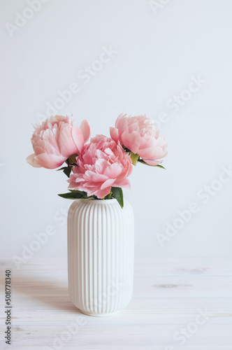 Beautiful bunch of fresh Coral Charm peonies in full bloom in vase against white background. Copy space for text. Minimalist floral still life with blooming flowers. © Iryna