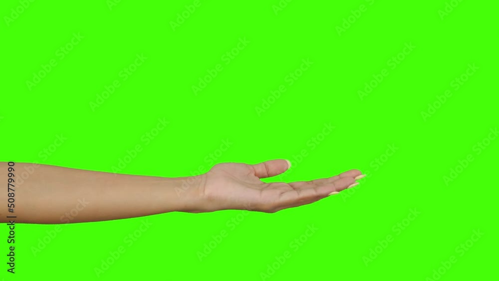 closeup empty hands with palms up on green background with chroma key closeup empty hands with palms up on green background with chroma key