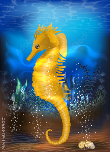 Underwater tropical card with seahorse, vector illustration
