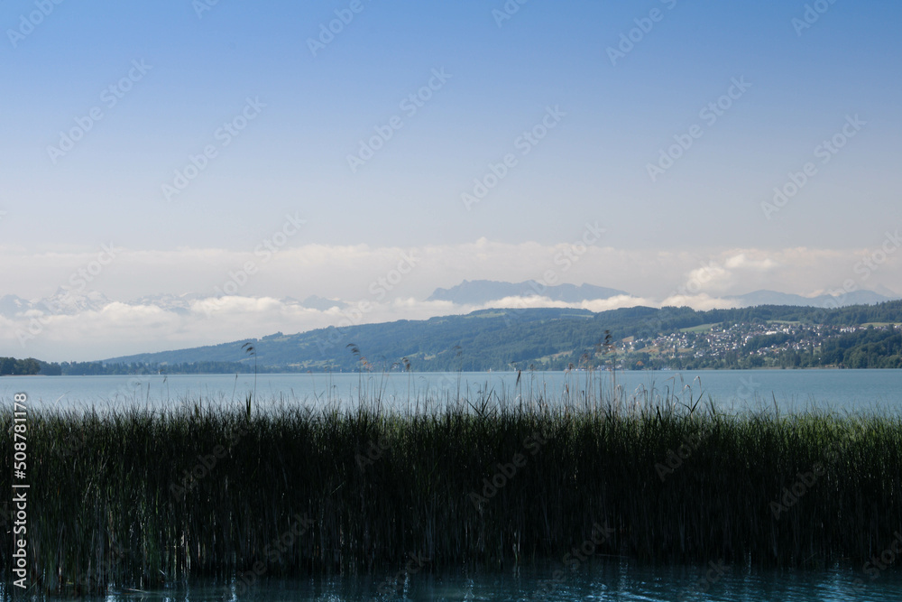 Fototapeta premium Lake Hallwil 1