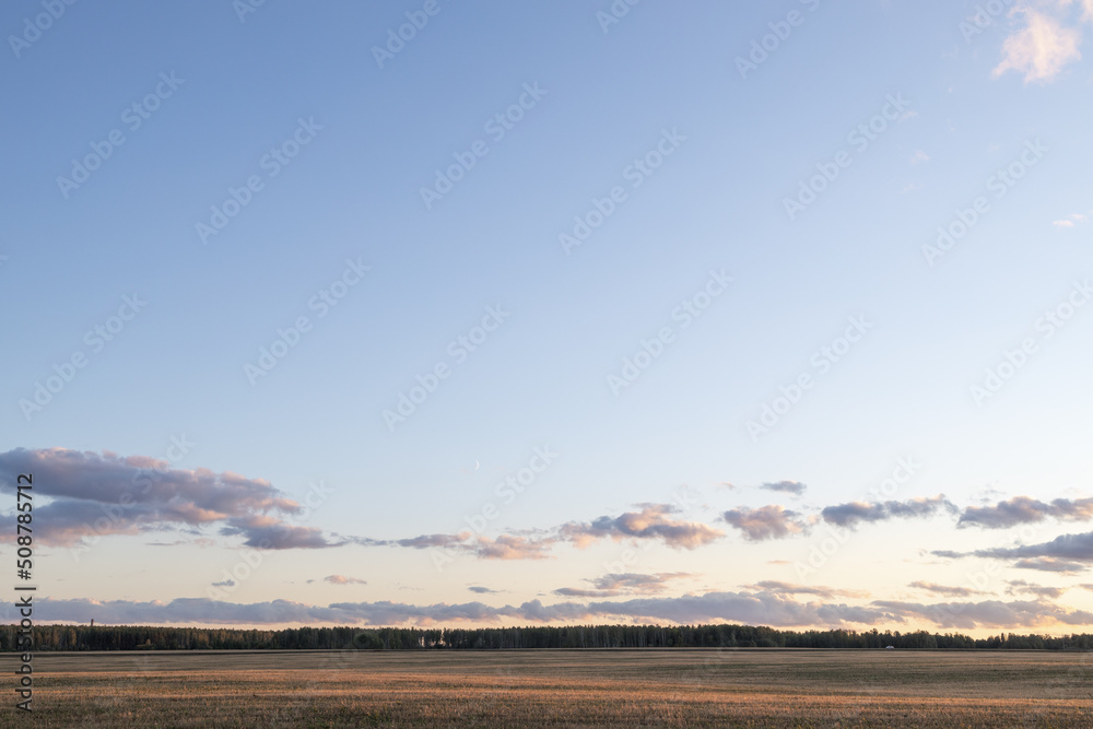 skyline in the morning, field and sky