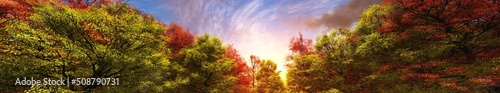 Autumn landscape, autumn forest in the sun, 3d rendering