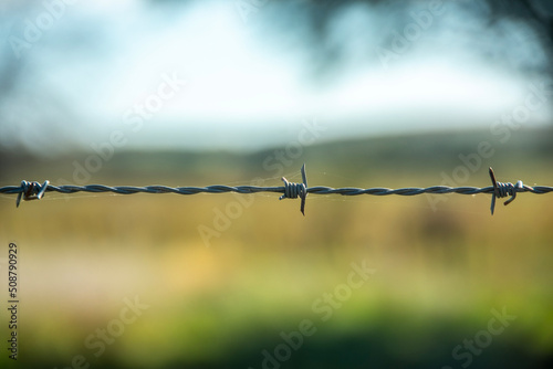 barbed wire fence