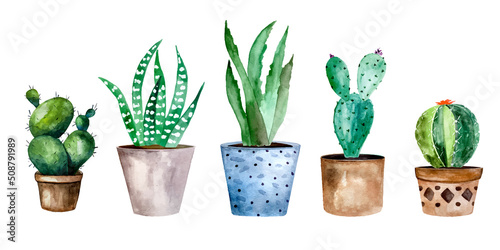 Slika na platnu Watercolor cactus and succulent plants in pot