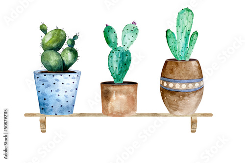 Watercolor cactus and succulent plants in pot. Watercolor individual flower pot