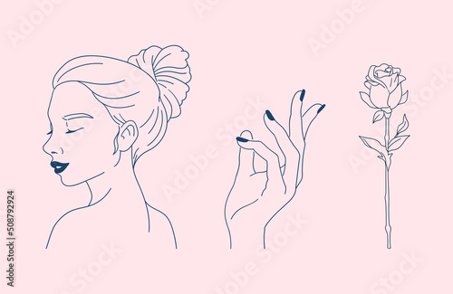 美容のイメージイラスト. 女性の横顔, マニキュアを塗った指, 薔薇の花. シンプルな線画. ベクターイラストのアイキャッチ. ピンクの背景.