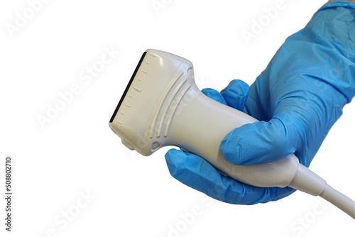 Modern linear ultrasound diagnostic probe held in doctor hand in blue sterile glove, white background. 